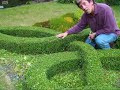 FAQs about knot gardens
