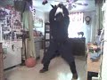 Numa Reaper Boogey