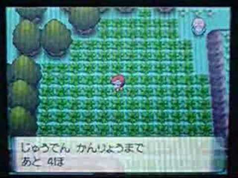 【ポケトレ連鎖(8)】色違いネイティ出現[shiny Natu]
