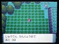???????(8)??????????[shiny Natu]