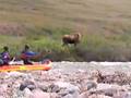 The first three days on John River, Brooks Range