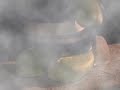 ?-Turtle