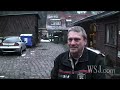 Wild Boars Invade Berlin