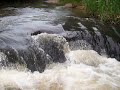 el aroyo
