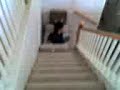 Celeste falling down the stairs