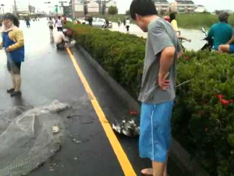 El tifón "Fanapi" continúa devastando parte de China