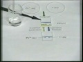 [Exp. 8] A precipitação do iodeto de chumbo(II).