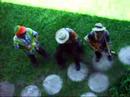 jamacian beat box boys(montego bay, sandals)