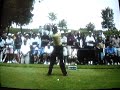 Tiger Wood\