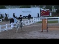 Click here to watch this video Spot On - Childrens Pony Hunter - Colorado Horse Park