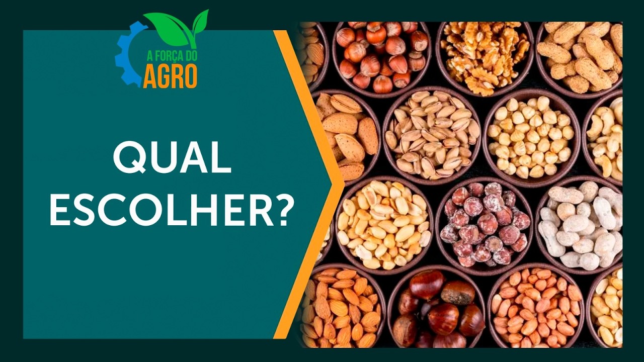 Tipos de magnésio: qual é o ideal para o seu corpo?