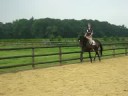 Joost Siemerink met Londondance (v. Lauries Crusador xx) 2..