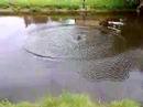 videos de Falling from a wire suspended over a river