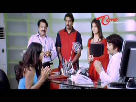 Boss, Akkineni Nagarjuna, Nasser Nayantara, Nicolette Bird, Saloni, Sayaji Shinde, Poonam Bajwa, SumaLatha, Tanikella Bharani, Brahmanandam, Ali, Shriya, Hema, M s Narayana