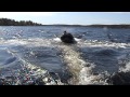 Просмотр видео