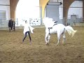 Chisto the Unicorn Chisto the Unicorn