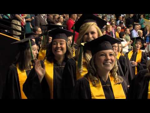 Video Image