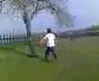 Tree-Running