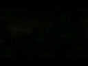 halo wars 5 a�os despues (sup esp)