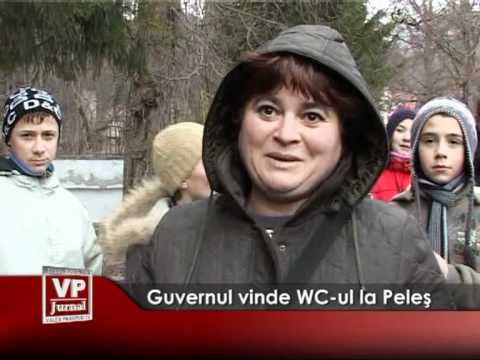 Guvernul vinde WC-ul de la Peleş