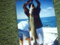 videos de muskie fishing trip pictures