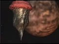 taken from k7's longvideo x-mix-1 the mfs trip mixed by paul van dyk