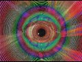 taken from k7's longvideo x-mix-1 the mfs trip mixed by paul van dyk