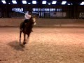 Click here to watch this video RAW CLIP OF FLAT WORK.