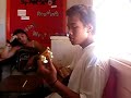 Sione