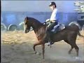 classical dressage