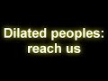 teledysk, klip, Dilated Peoples,- Reach Us