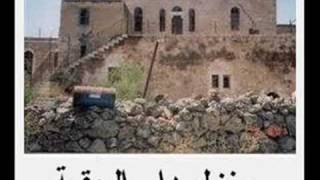 قرية قلنديا / جديد قرية قلنديا / جديد