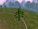 Spore test Spore test