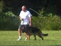 9-23rd 06 Schutzhund obedience Rude 9-23rd 06 Schutzhund obedience Rude