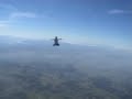 Lotus sitfly scramble...