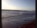 videos de ManiaKite Palermo