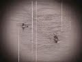 videos kayak