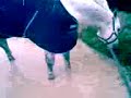 Kazaam y la agua