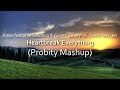 vs. Tiesto feat. Jes - Heartbreak Everything (Probity Mashup)
