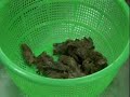 How to cook a dog