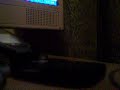 Prank Call With Dr. Phil Prank Call With Dr. Phil