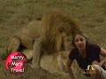 lions-mating.html