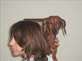 Daschund