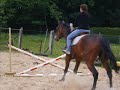 Mon cheval d\