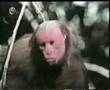 videos de shubesa