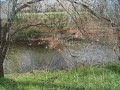 PARQUE LINEAL DEL MANZANARES (VILLAVERDE)