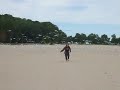 F&$^**#&(*ING birds