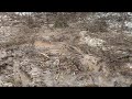 FREEZING RAIN  v.s. 4 WHEEL DRIVE