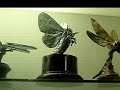 Gilmore Car Museum Hickory Corners -Part 1