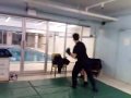 albanian fights